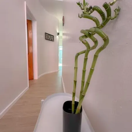 Oceanside Holiday home